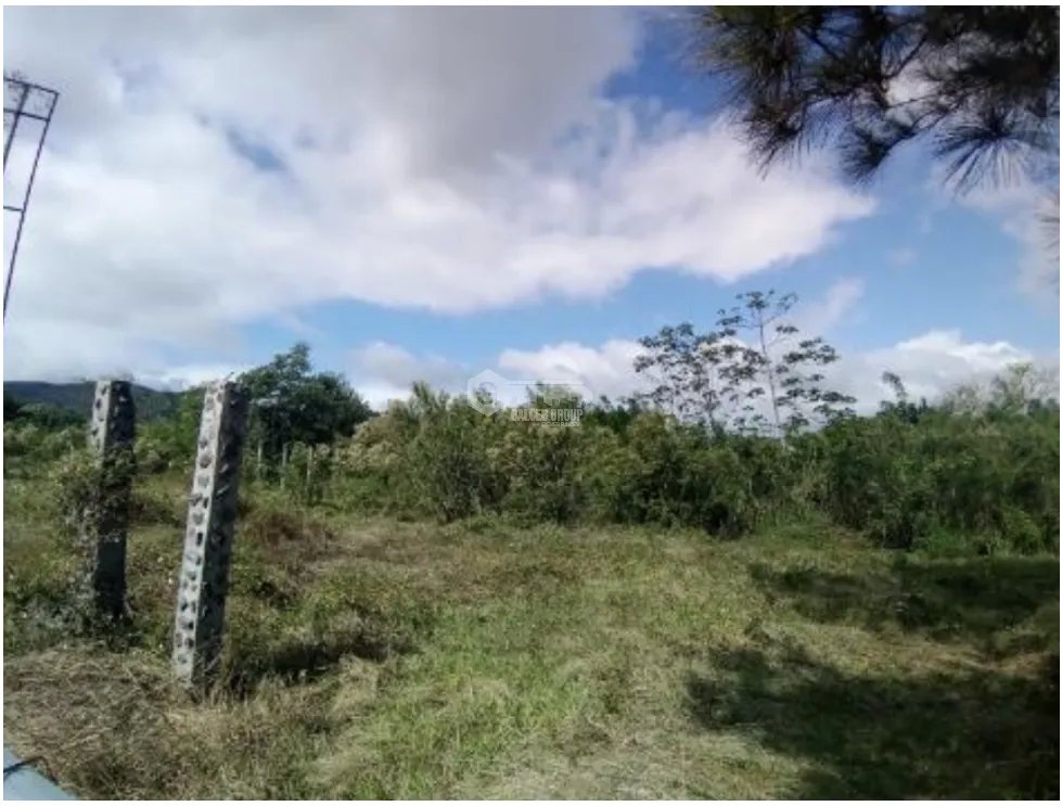 CAPIRA / 6 HECTAREAS / VIA INTERAMERICANA / CON PROYECTO APROBADO