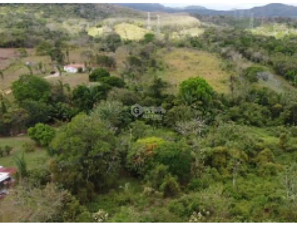 CAPIRA / 6 HECTAREAS / VIA INTERAMERICANA / CON PROYECTO APROBADO