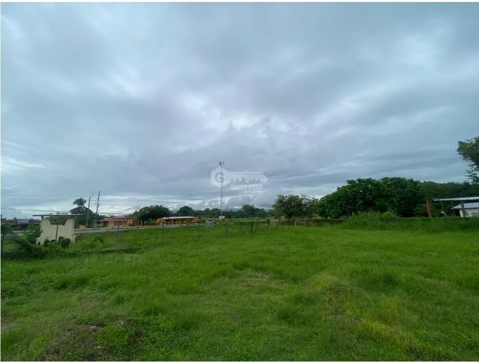 SE VENDE TERRENO PLANO 2146M EN PENONOME FRENTE A VIA INTERAMERICANA