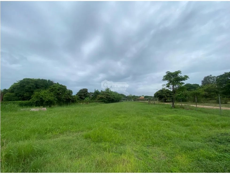 SE VENDE TERRENO PLANO 2146M EN PENONOME FRENTE A VIA INTERAMERICANA