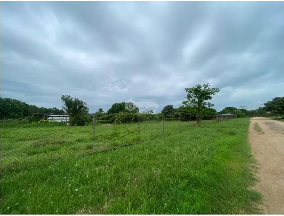 SE VENDE TERRENO PLANO 2146M EN PENONOME FRENTE A VIA INTERAMERICANA