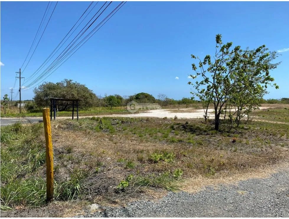 SE VENDE TERRENO PLANO EN SAN CARLOS FRENTE A VIA INTERAMERICANA