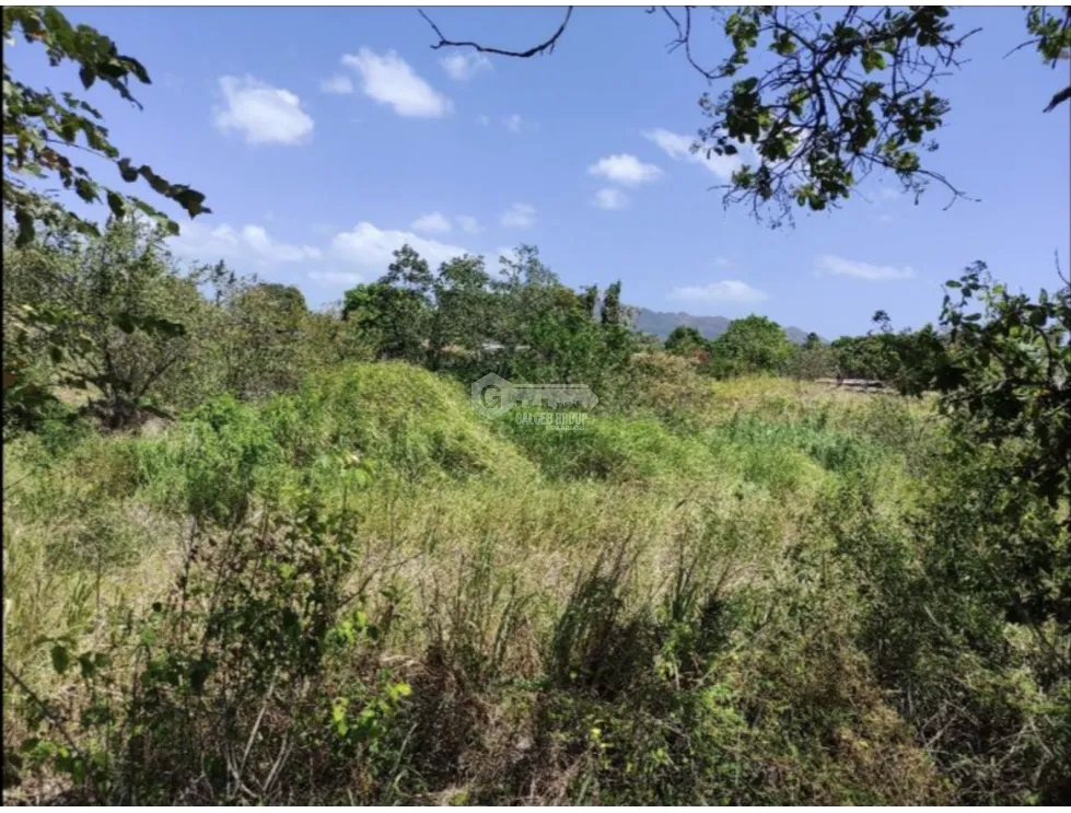 SE VENDE TERRENO EN CHAME IDEAL PARA DESARROLLO SOBRE INTERAMERICANA