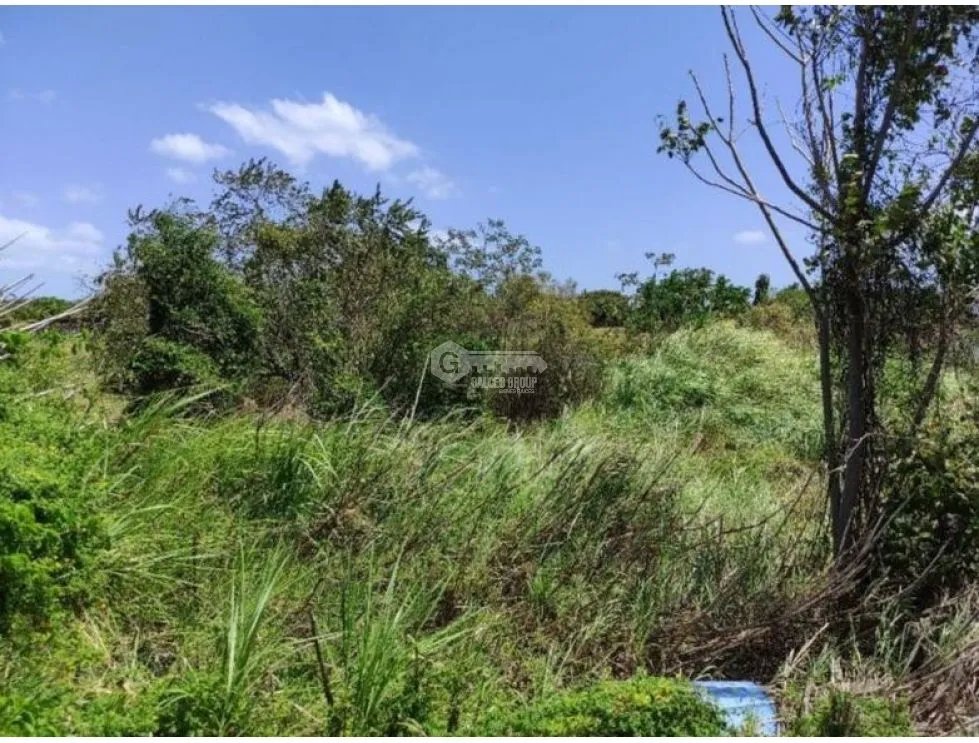 SE VENDE TERRENO EN CHAME IDEAL PARA DESARROLLO SOBRE INTERAMERICANA