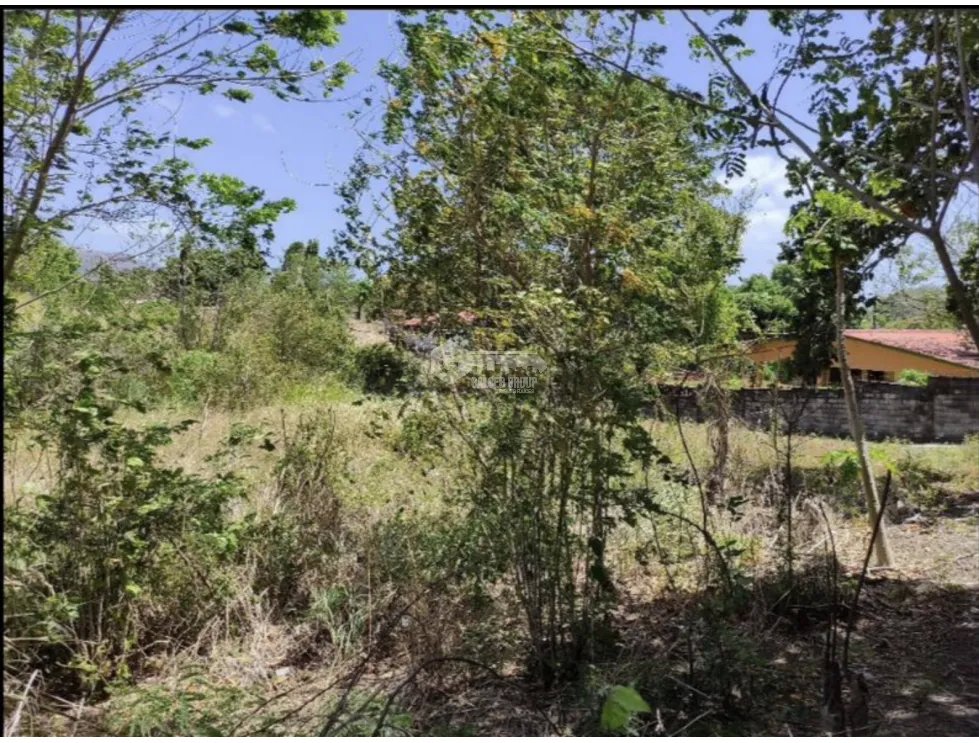 SE VENDE TERRENO EN CHAME IDEAL PARA DESARROLLO SOBRE INTERAMERICANA