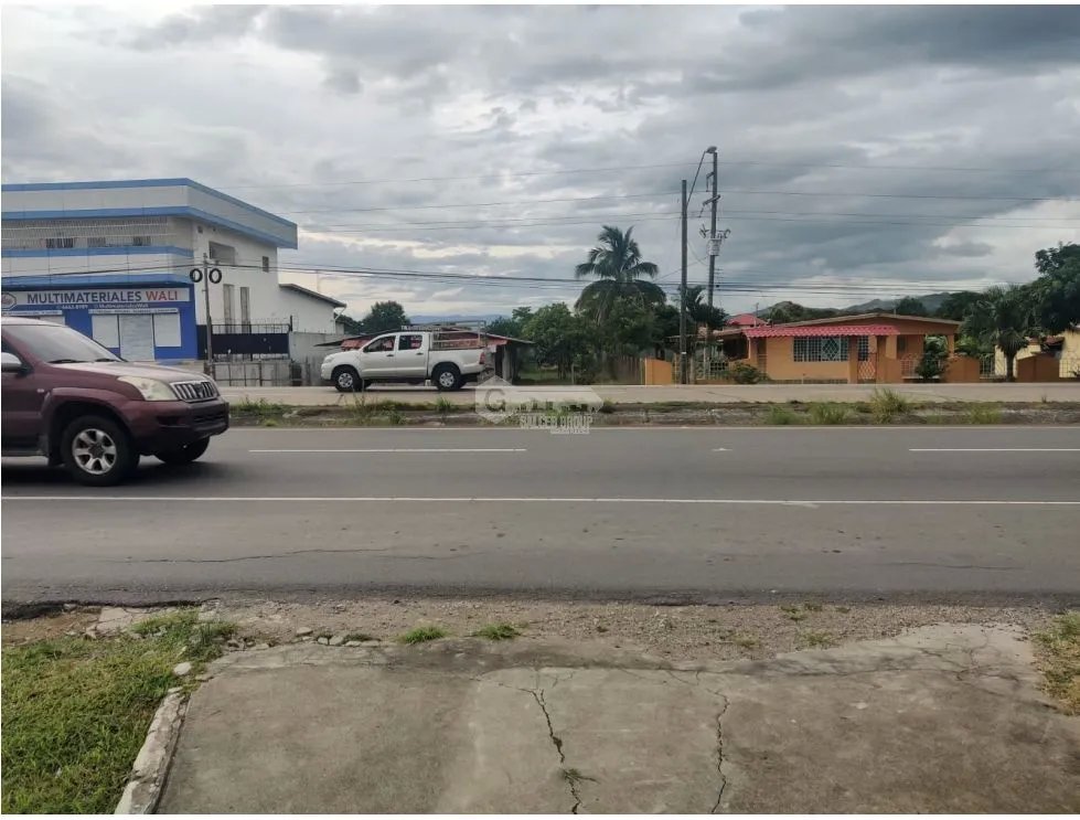 PENONOME / TERRENO PLANO / 2146M / FRENTE A VIA INTERAMERICANA