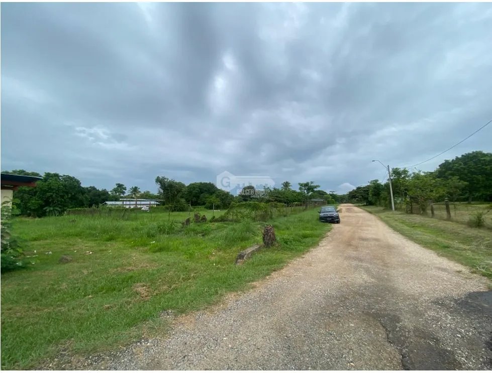 PENONOME / TERRENO PLANO / 2146M / FRENTE A VIA INTERAMERICANA