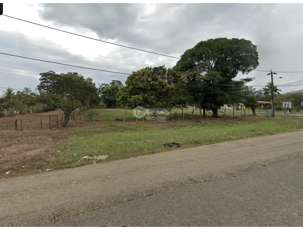 SE VENDE TERRENO DE 1.6 HECTAREAS EN COCLE NATA SOBRE INTERAMERICANA
