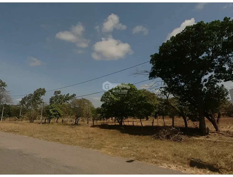 COCLE / NATA / EL ROBLAR / TERRENO 1.6 HECTAREA / SOBRE INTERAMERICANA