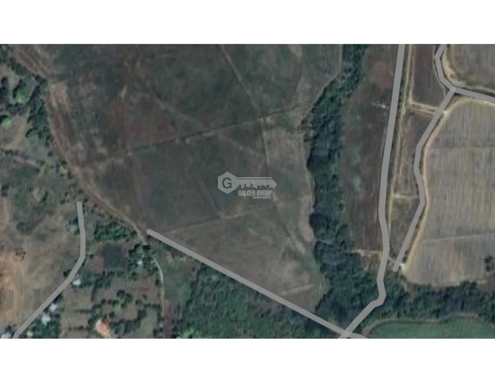 EL CAÑO / COCLE / TERRENO 21 HECTAREAS / CERCA DE INTERAMERICANA