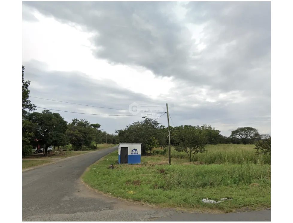 COCLE / EL CAÑO / TERRENO 5 HECTAREAS / CERCA DE INTERAMERICANA