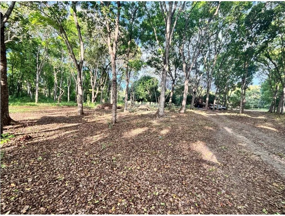 SE VENDE TERRENO DE 5 HECTAREAS EN GORGONA INTERAMERICANA PRINCIPAL