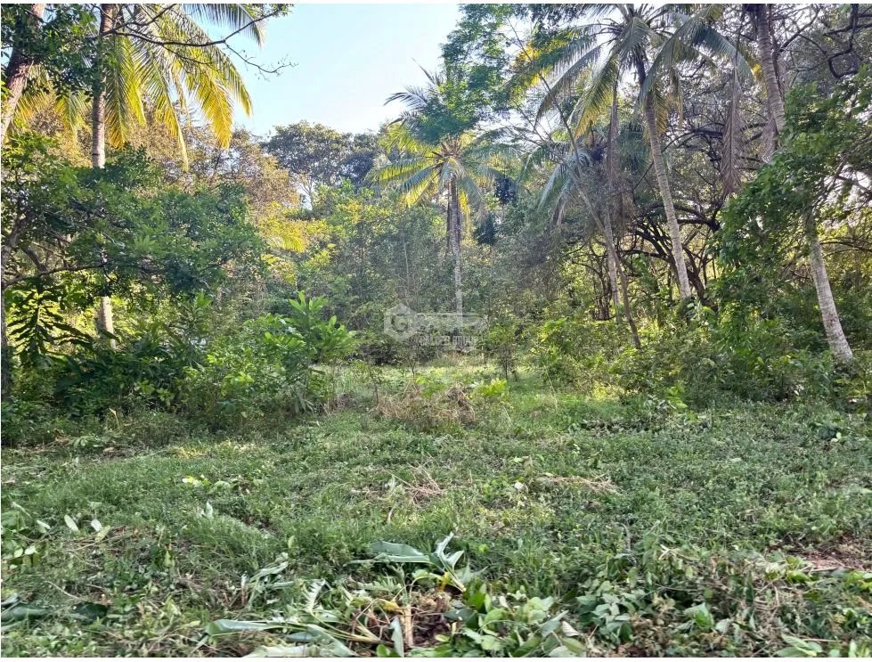 Building Lot for sale in Chame
