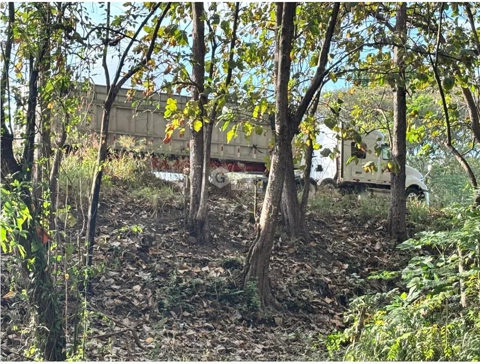Land/Farm for sale in Chame