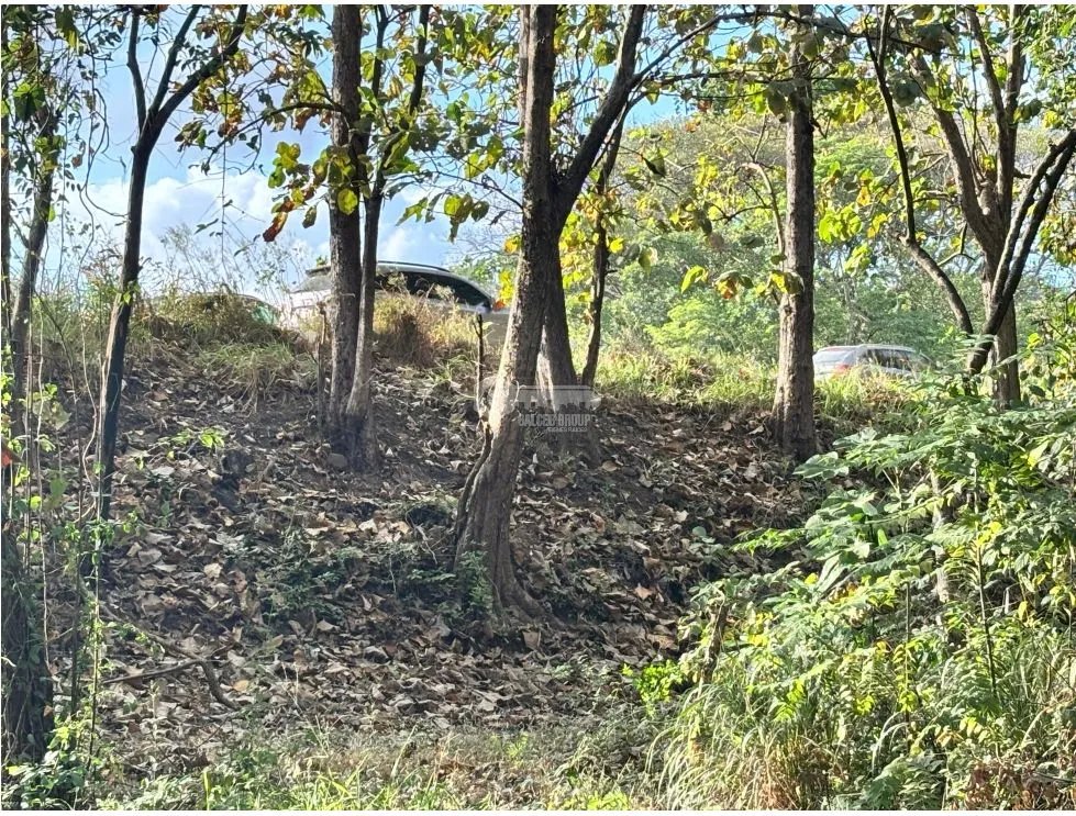 FINCA / GORGONA / 5 HECTAREA / INTERAMERICANA PRINCIPAL / CERCA AL MAR