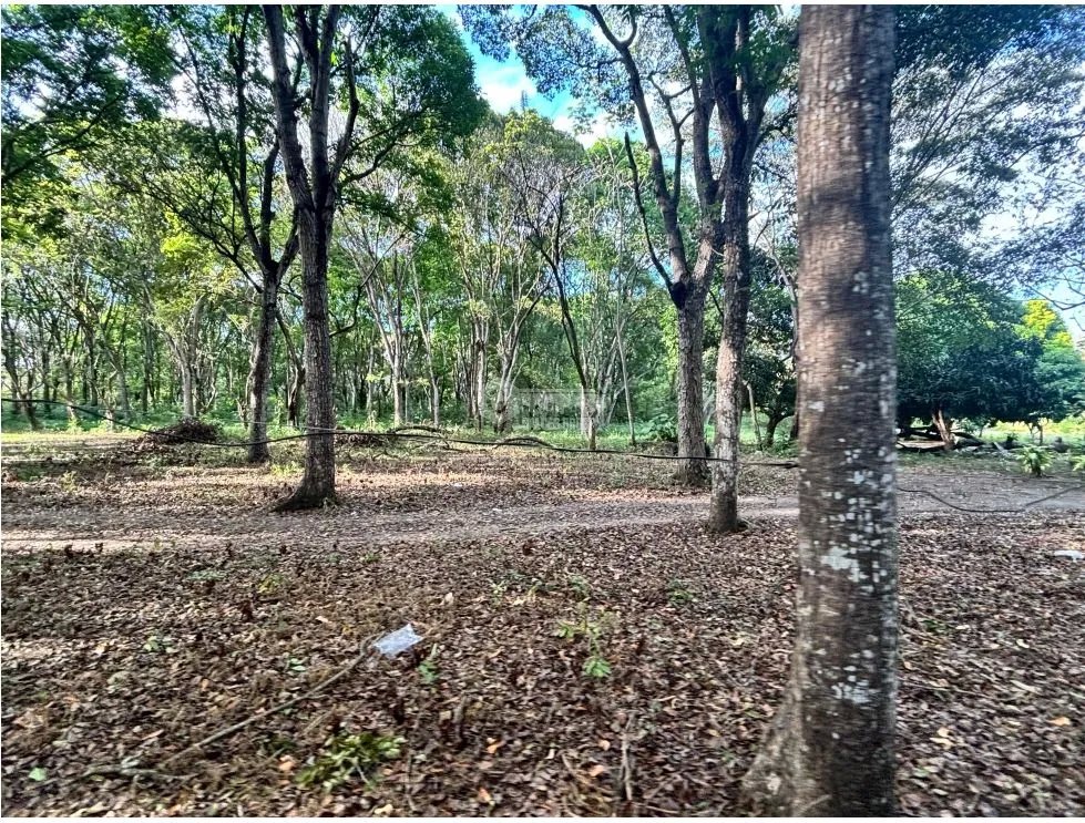 FINCA / GORGONA / 5 HECTAREA / INTERAMERICANA PRINCIPAL / CERCA AL MAR