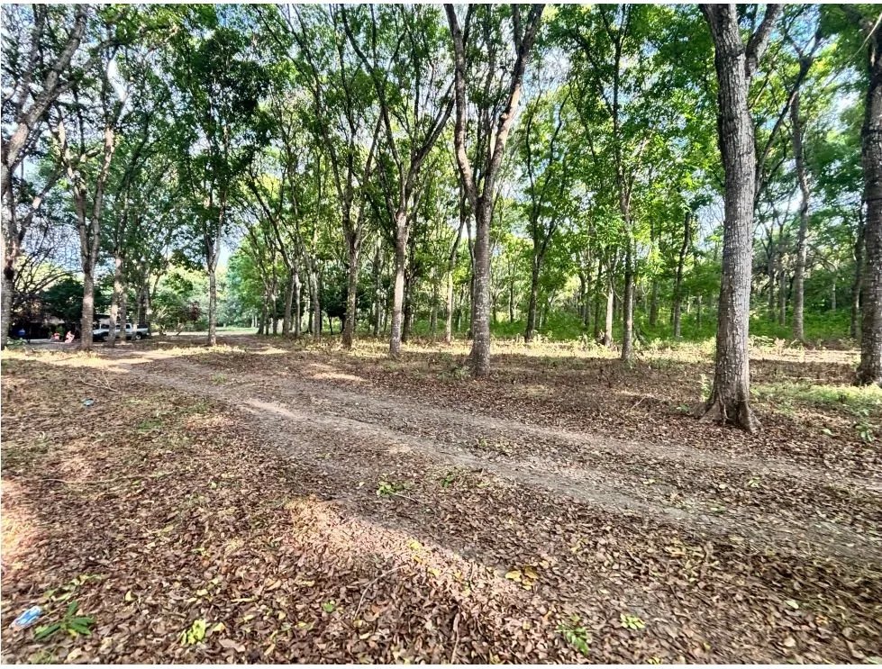 Land/Farm for sale in Chame