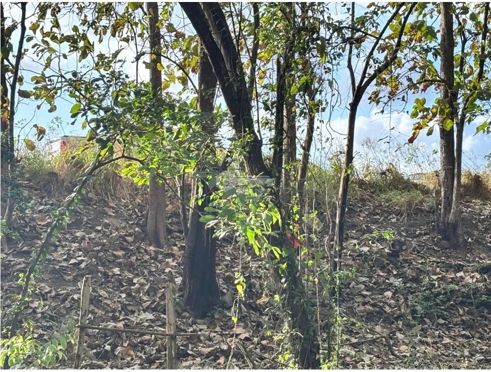 Land/Farm for sale in Chame