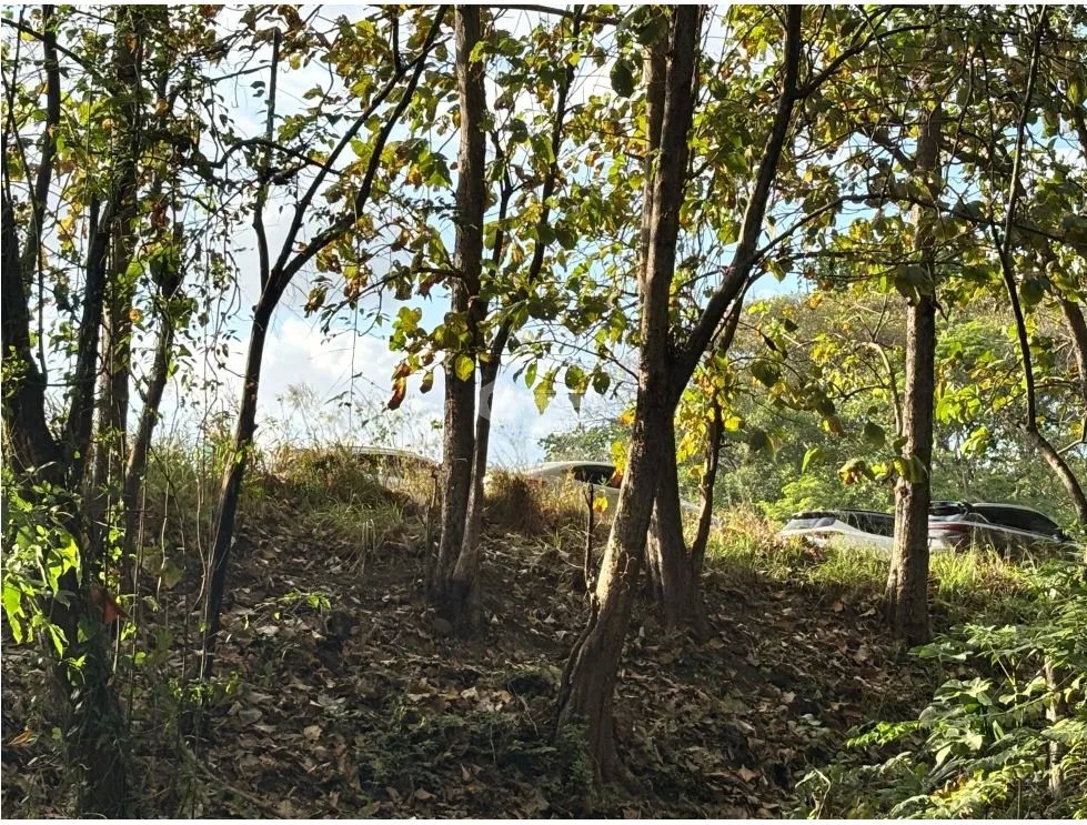 Land/Farm for sale in Chame