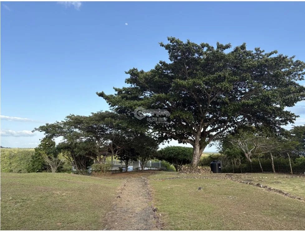 Building Lot for sale in San Carlos