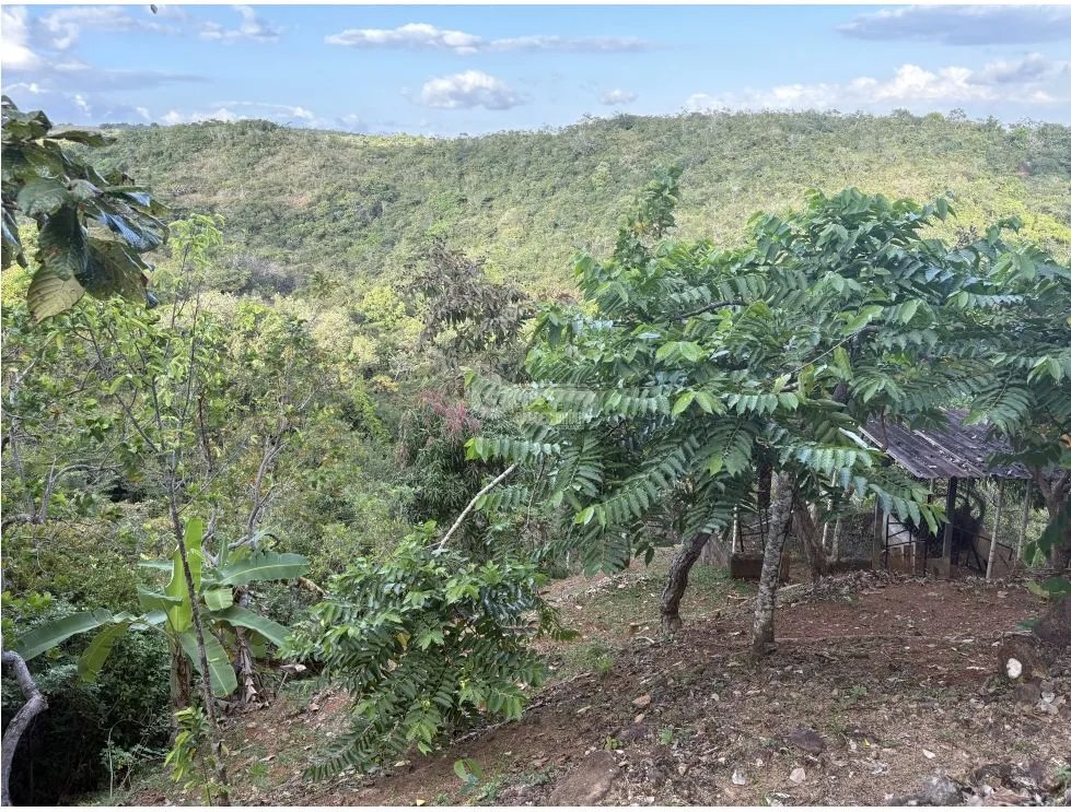 Building Lot for sale in San Carlos