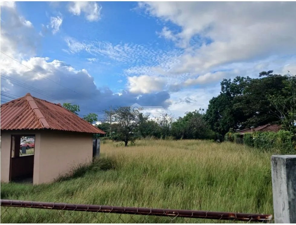 LAS LAJAS / CHAME / 1040 M / TERRENO PLANO / BOHIO / CERCA DE PLAYA AG