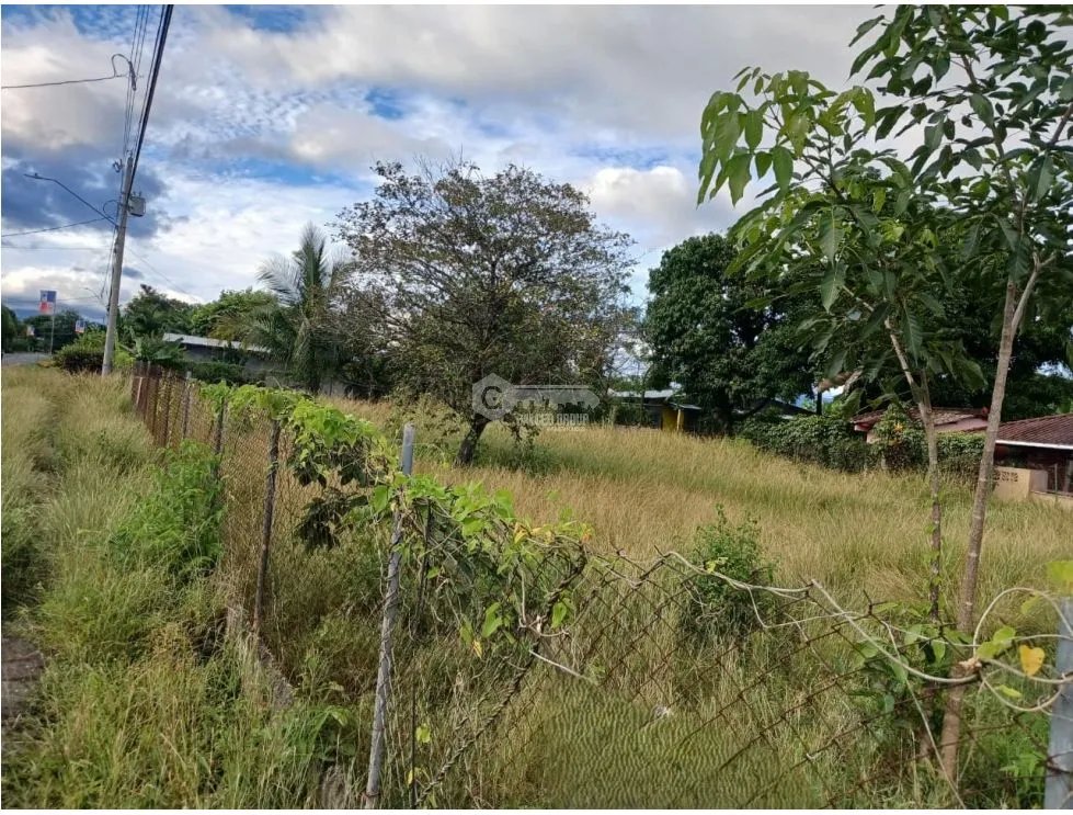 LAS LAJAS / CHAME / 1040 M / TERRENO PLANO / BOHIO / CERCA DE PLAYA AG