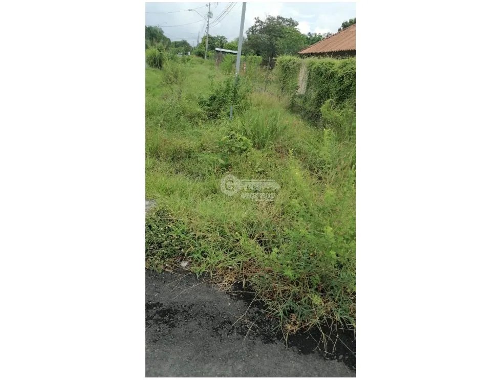 LAS LAJAS / CHAME / 1040 M / TERRENO PLANO / BOHIO / CERCA DE PLAYA AG