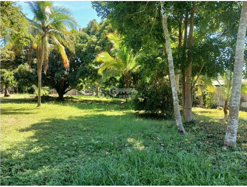 CORONADO / CHAME / 870 M / CERCA DEL MAR / TERRENO PLANO / AG