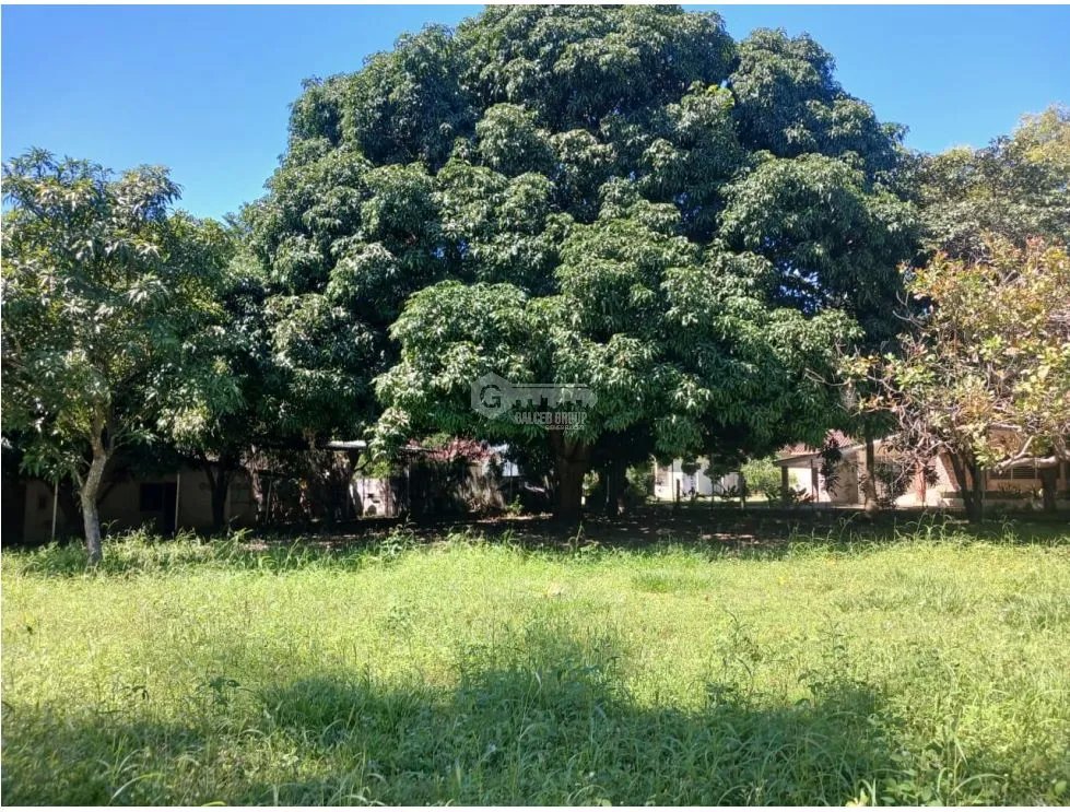 CORONADO / CHAME / 870 M / CERCA DEL MAR / TERRENO PLANO / AG
