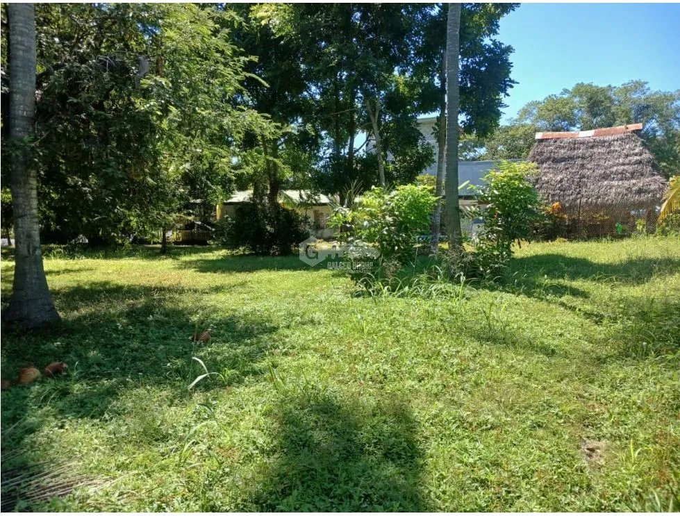 CORONADO / CHAME / 870 M / CERCA DEL MAR / TERRENO PLANO / AG