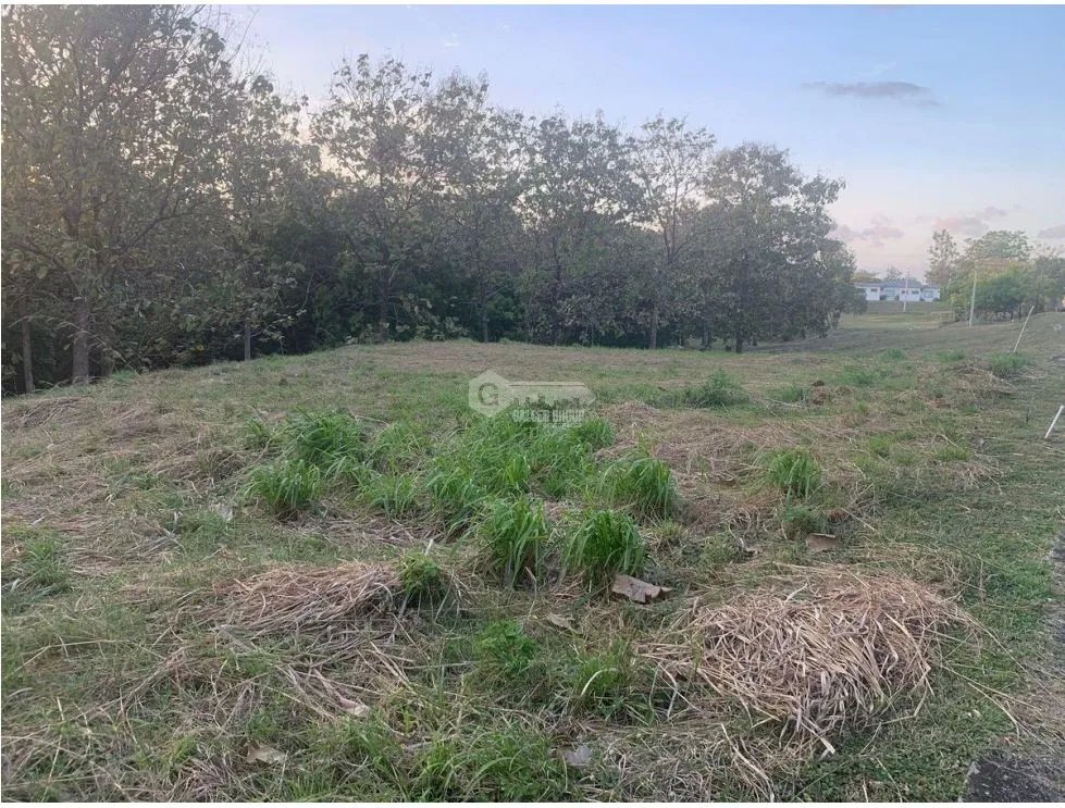 Building Lot for sale in Chame