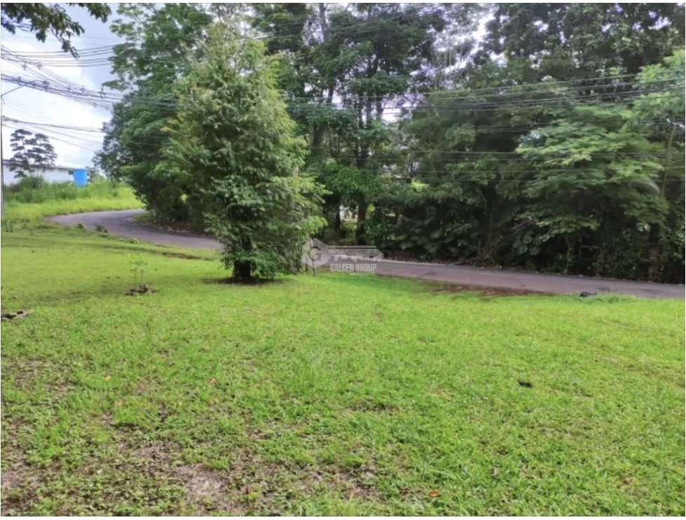 ARRAIJAN / NUEVO EMPERADOR / 2494M / TERRENO PLANO / SOBRE VIA