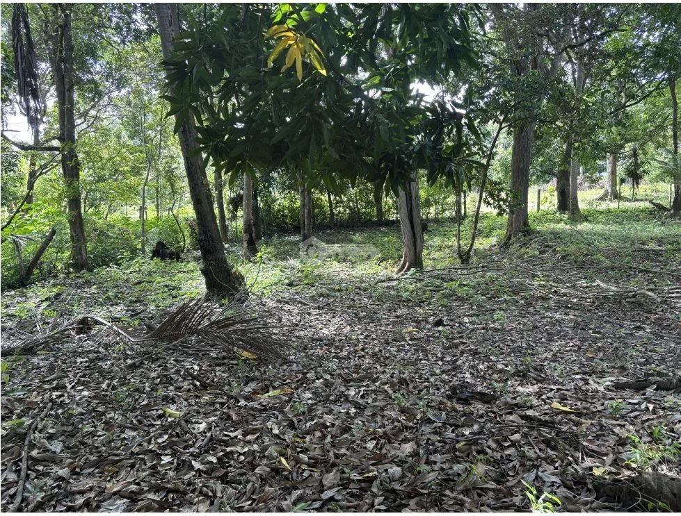 Building Lot for sale in Chame
