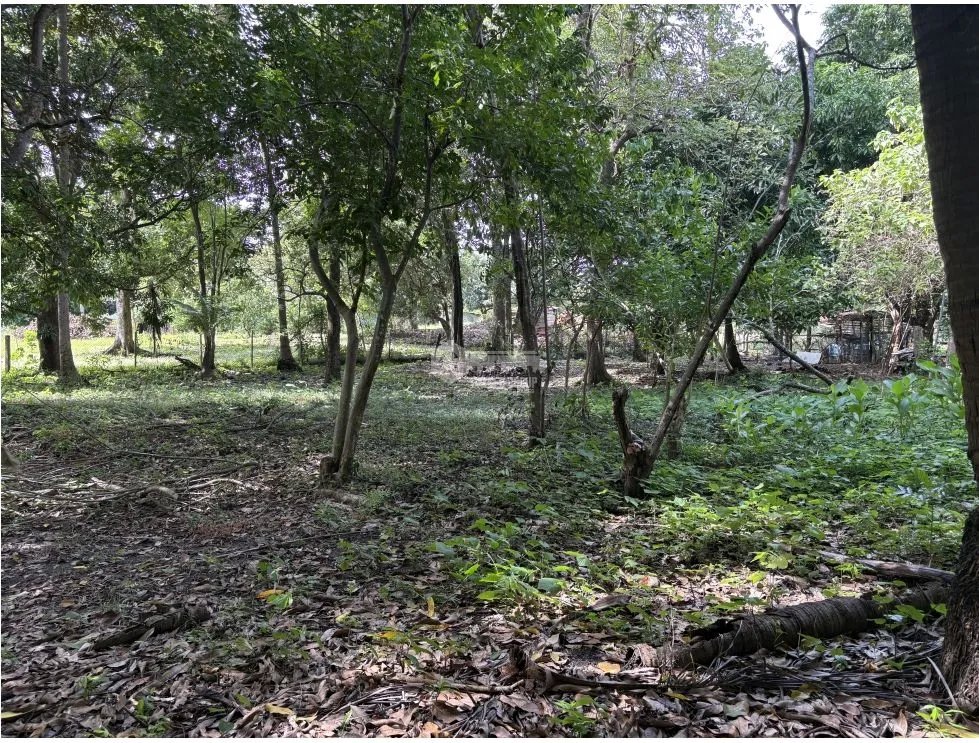 Building Lot for sale in Chame