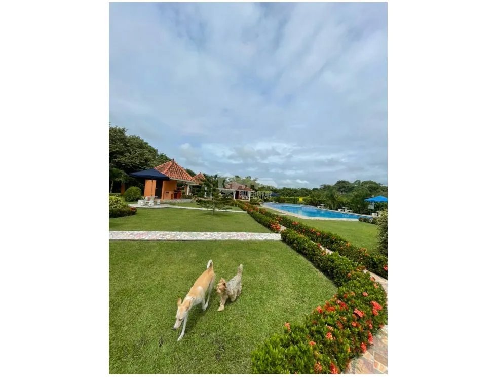 Building Lot for sale in San Carlos