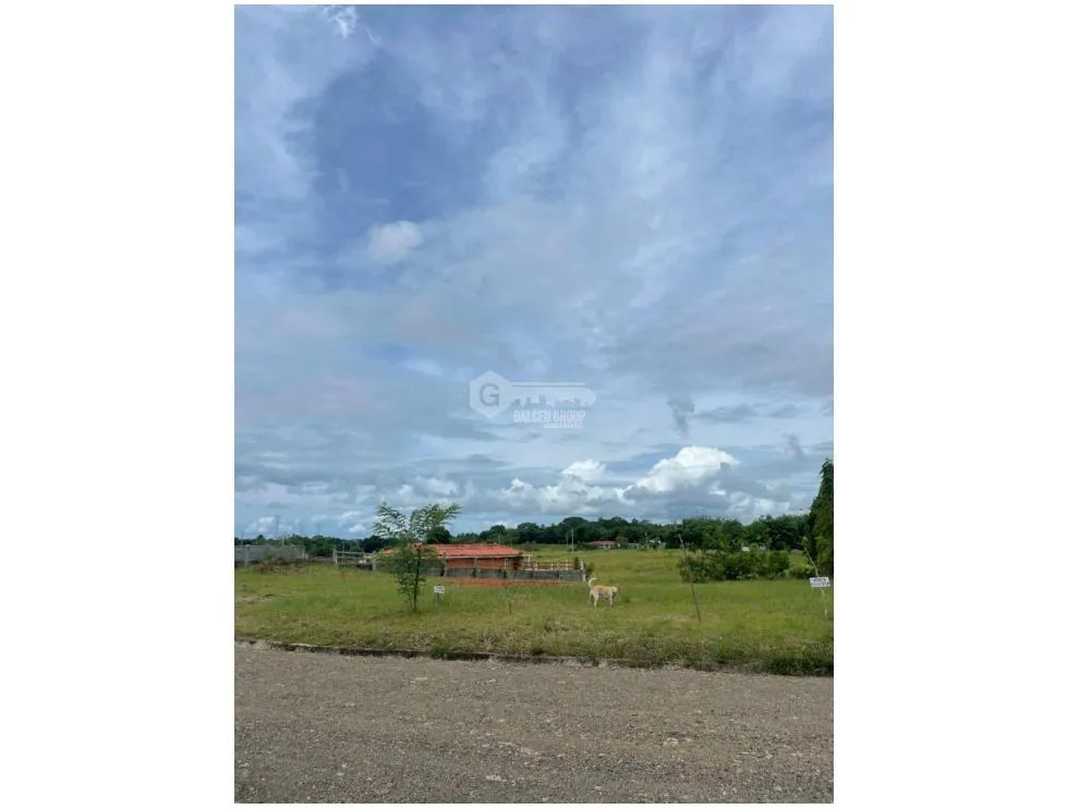 Building Lot for sale in San Carlos