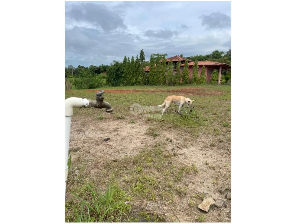 Building Lot for sale in San Carlos