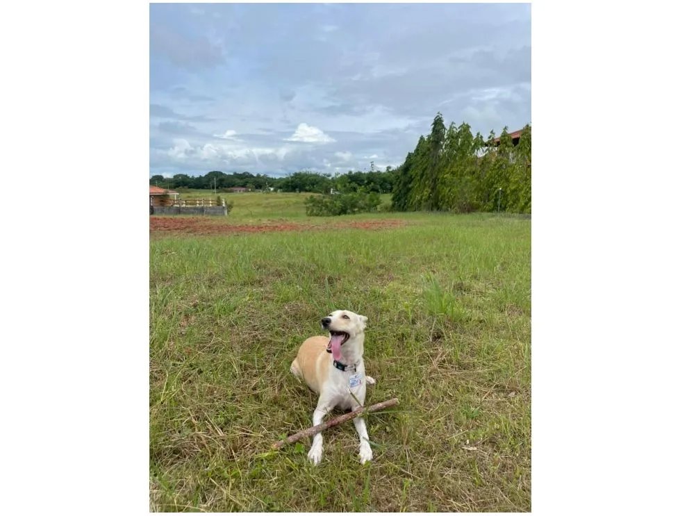 Building Lot for sale in San Carlos