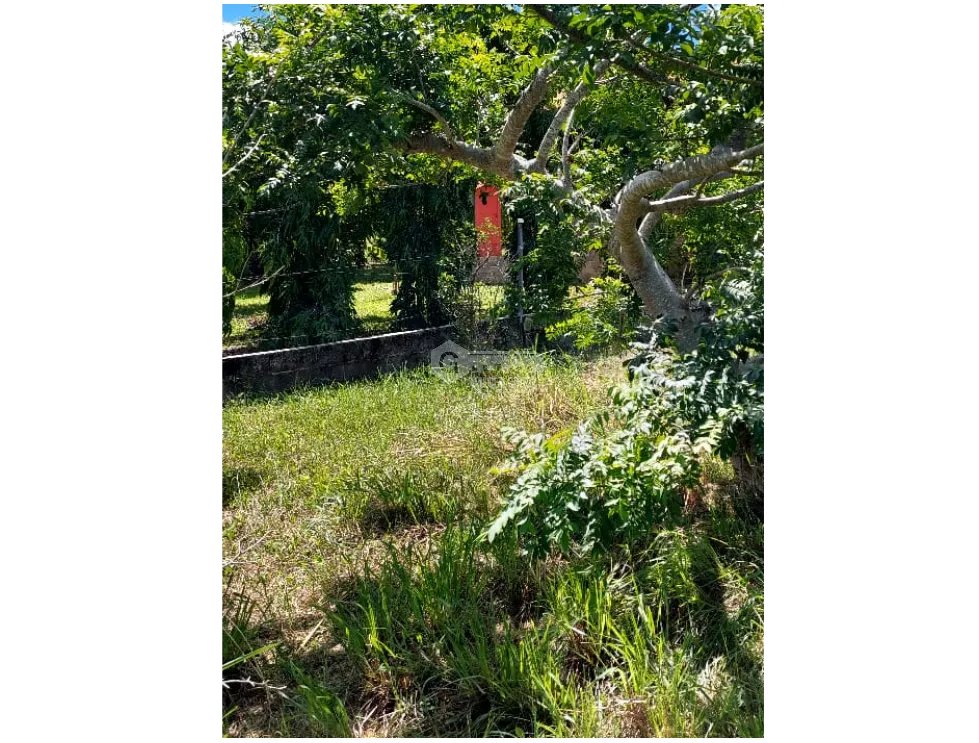 Building Lot for sale in San Carlos
