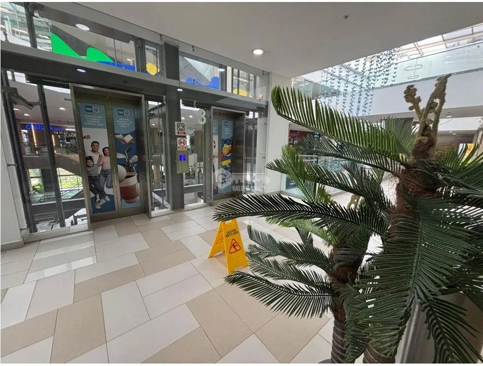 Commercial Space for rent in Costa del Este