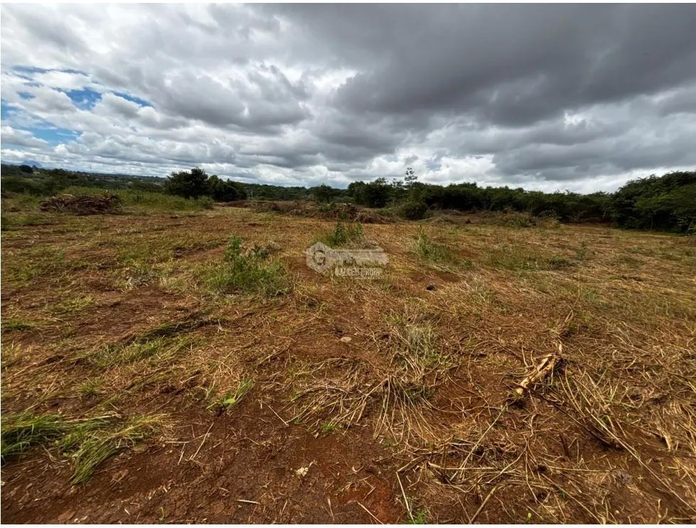 Land/Farm for sale in Chorrera