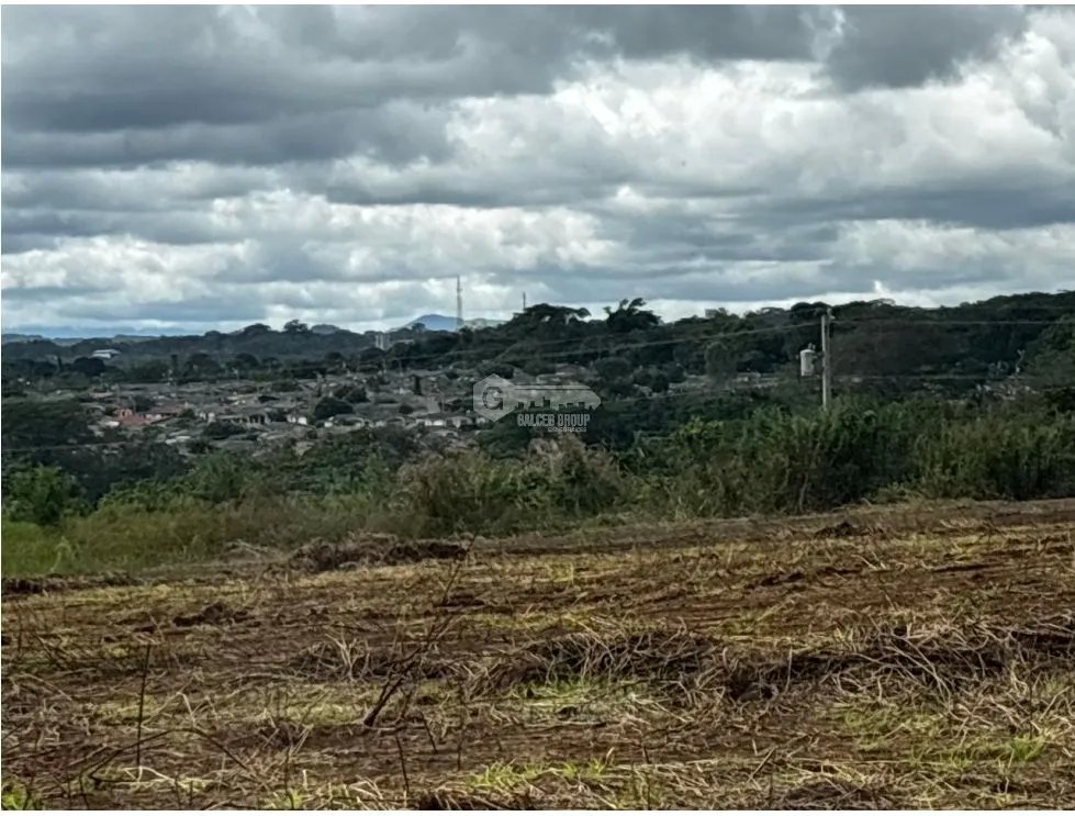 Land/Farm for sale in Chorrera