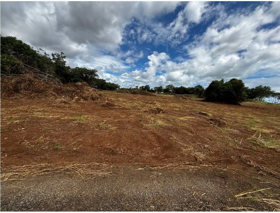 Land/Farm for sale in Chorrera