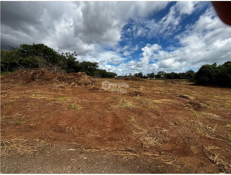 Land/Farm for sale in Chorrera