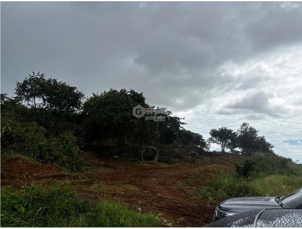 CHORRERA / VÍA PUERTO CAIMITO / 54000M / PARA DESARROLLO