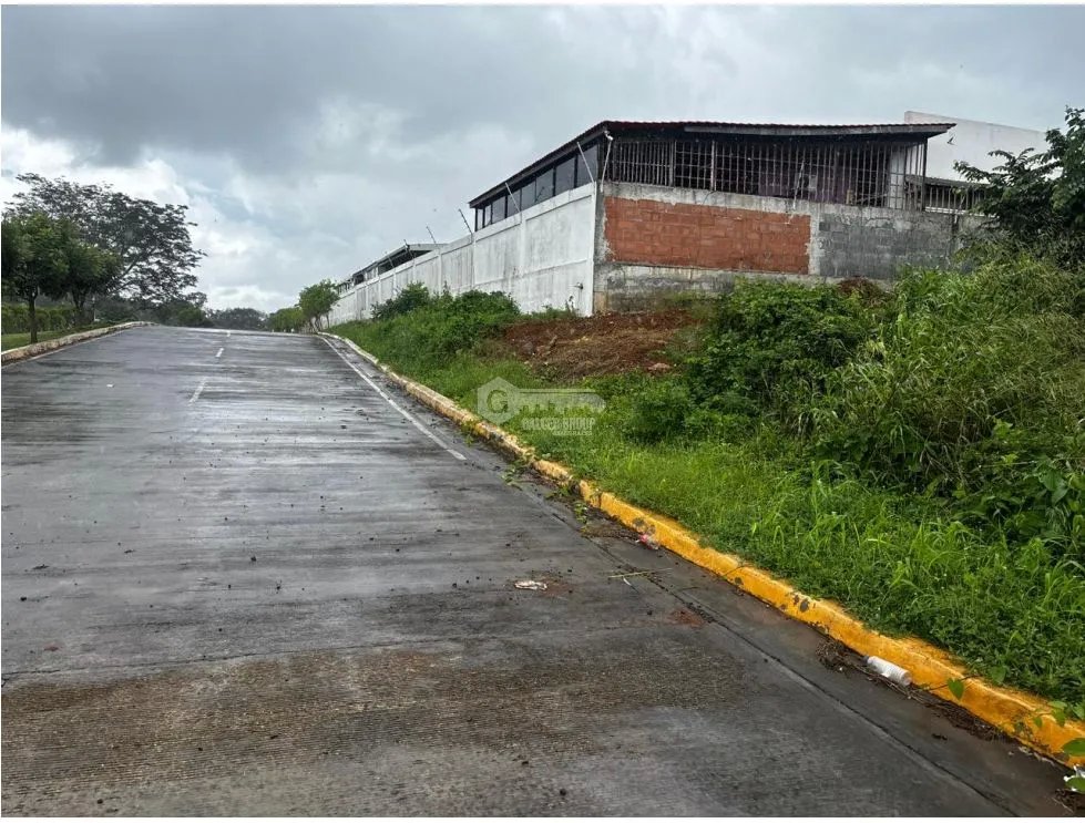 CHORRERA / VÍA PUERTO CAIMITO / 54000M / PARA DESARROLLO
