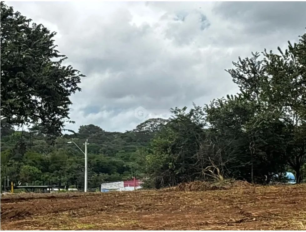 CHORRERA / VÍA PUERTO CAIMITO / 54000M / PARA DESARROLLO