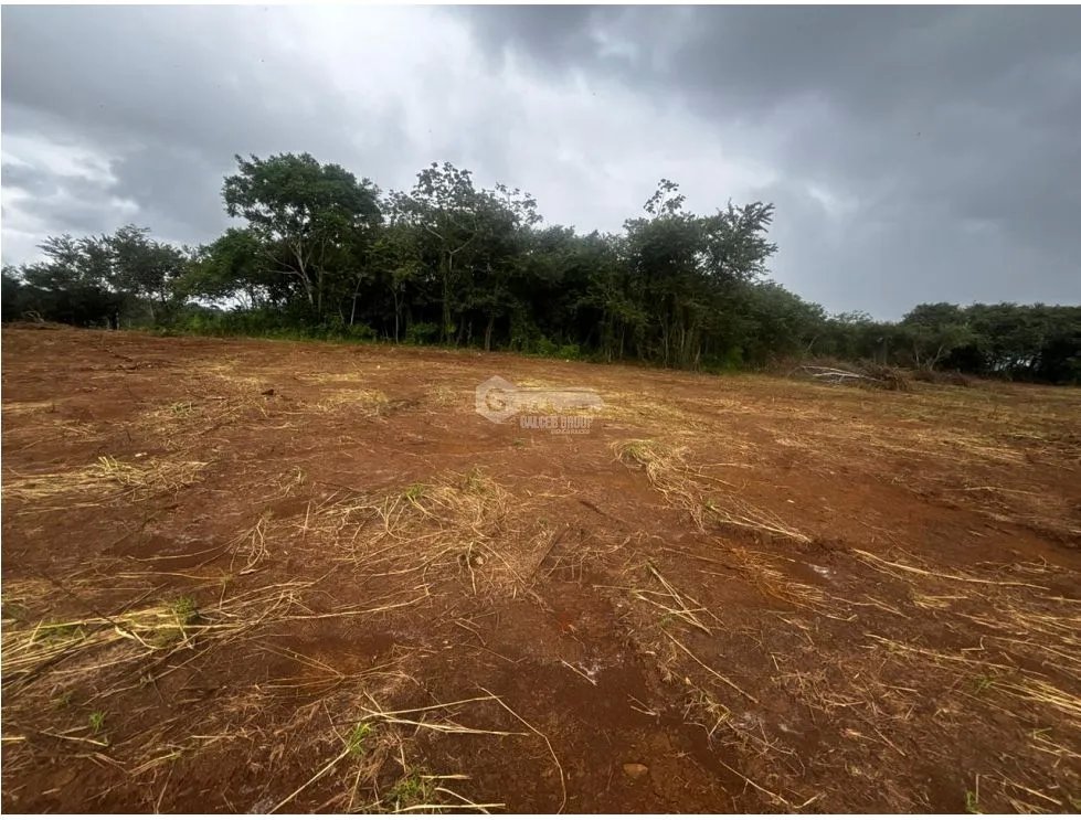 Building Lot for sale in Chorrera