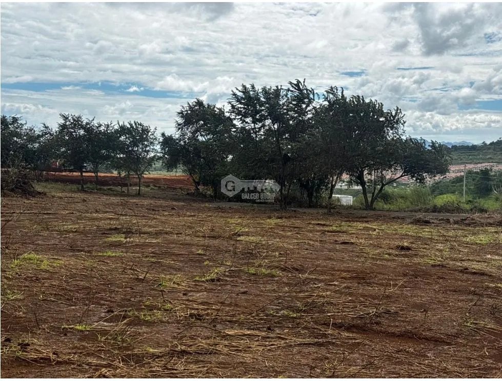 Building Lot for sale in Chorrera